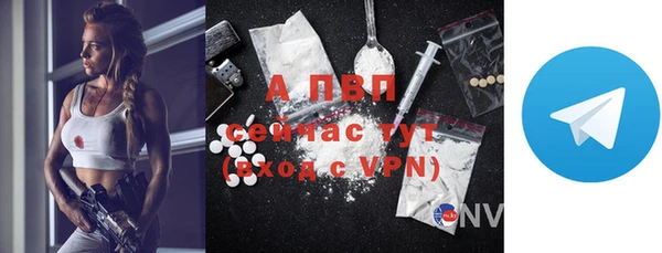 прущие крисы Пересвет