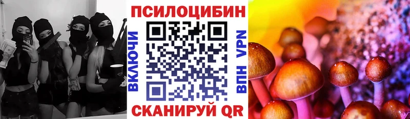 MEGA как войти  Ардон  Псилоцибиновые грибы мицелий 